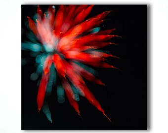 Abstract Photography, Abstract Print, Abtract Photo, Fireworks Print, Fireworks Photography, Limited Edition, Red, white and blue, Patriotic