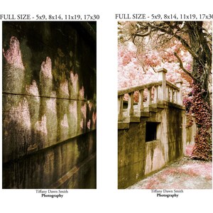 May include: Two landscape photographs. The first shows a weathered wall with pink heart-shaped markings. The second depicts a stone structure with stairs, a balustrade, and a tree with pink foliage. Both have the text "FULL SIZE" and "Tiffany Dawn Smith Photography".