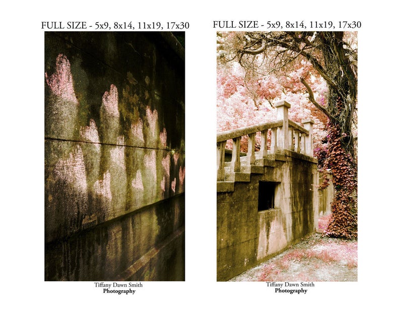May include: Two landscape photographs. The first shows a weathered wall with pink heart-shaped markings. The second depicts a stone structure with stairs, a balustrade, and a tree with pink foliage. Both have the text "FULL SIZE" and "Tiffany Dawn Smith Photography".