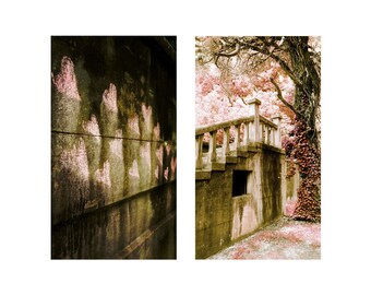 Pink Photo Set, Photography Set, Romantic Artwork, Bleak House, Twisted Tree, Hearts Graffiti Duo Two Soft Dreamy Garden Stairs Gothic