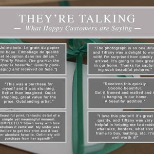 May include: Image featuring customer testimonials with text: "THEY'RE TALKING - What Happy Customers are Saying." The testimonials are in white boxes with gray borders, and the image is tied with a green ribbon.