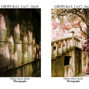 May include: Two photographs. The left image shows a weathered wall with pinkish-white markings. The right image depicts a stone structure with stairs, a railing, and a tree with pink foliage. Text at the bottom reads "Tiffany Dawn Smith Photography."