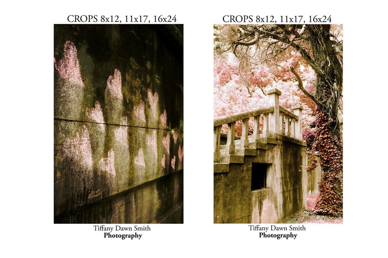 May include: Two photographs. The left image shows a weathered wall with pinkish-white markings. The right image depicts a stone structure with stairs, a railing, and a tree with pink foliage. Text at the bottom reads "Tiffany Dawn Smith Photography."