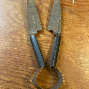 Vintage sheep shears