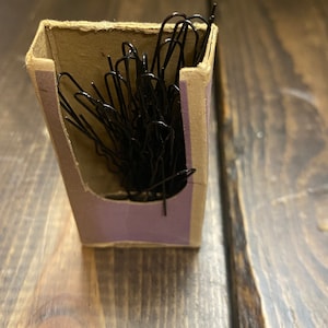 Scolding Locks Hair Pins