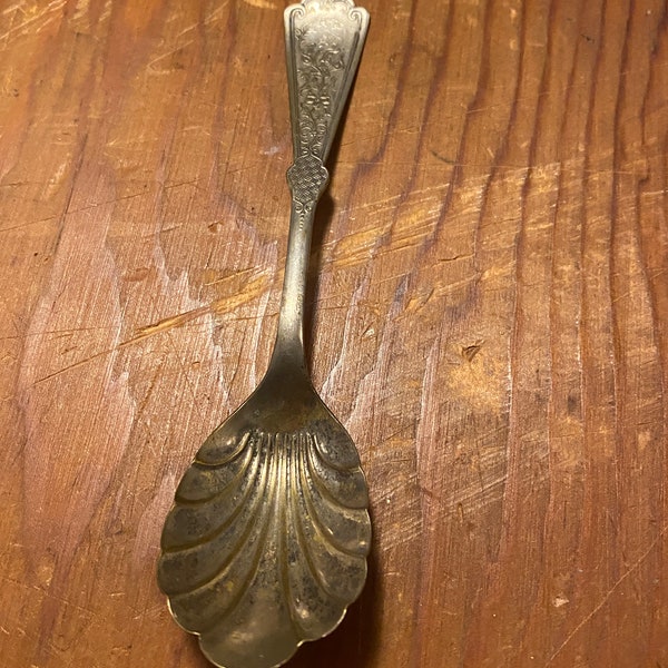 Quaker valley Manufacturing Co Silver Spoon