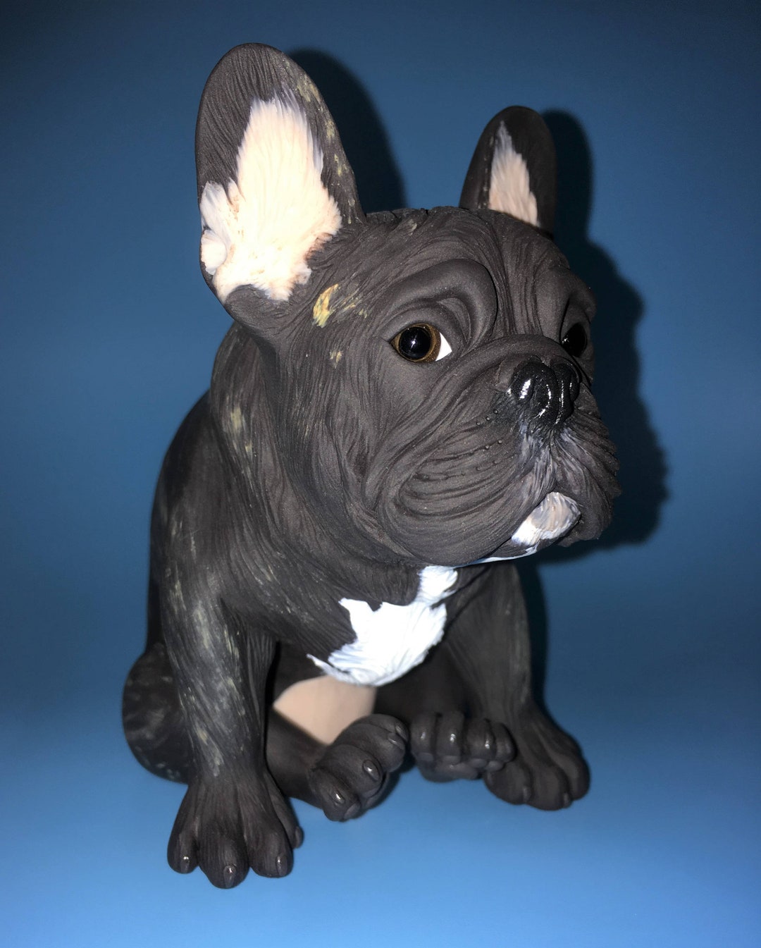 Blue Dapple French Bulldog | lupon.gov.ph