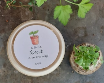 Kit de jardinería A Little Sprout, recuerdo de fiesta de hierbas, recuerdo de fiesta para baby shower, brotes de albahaca, recuerdo de cultivo para bebés