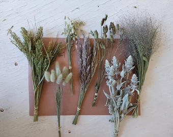 May include: A collection of six distinct bundles of dried botanical elements, including green grasses, fluffy light green bunny tails, textured brown wheat-like stalks, slender seed pods, silvery-green foliage, and a delicate, wispy grey-toned grass.