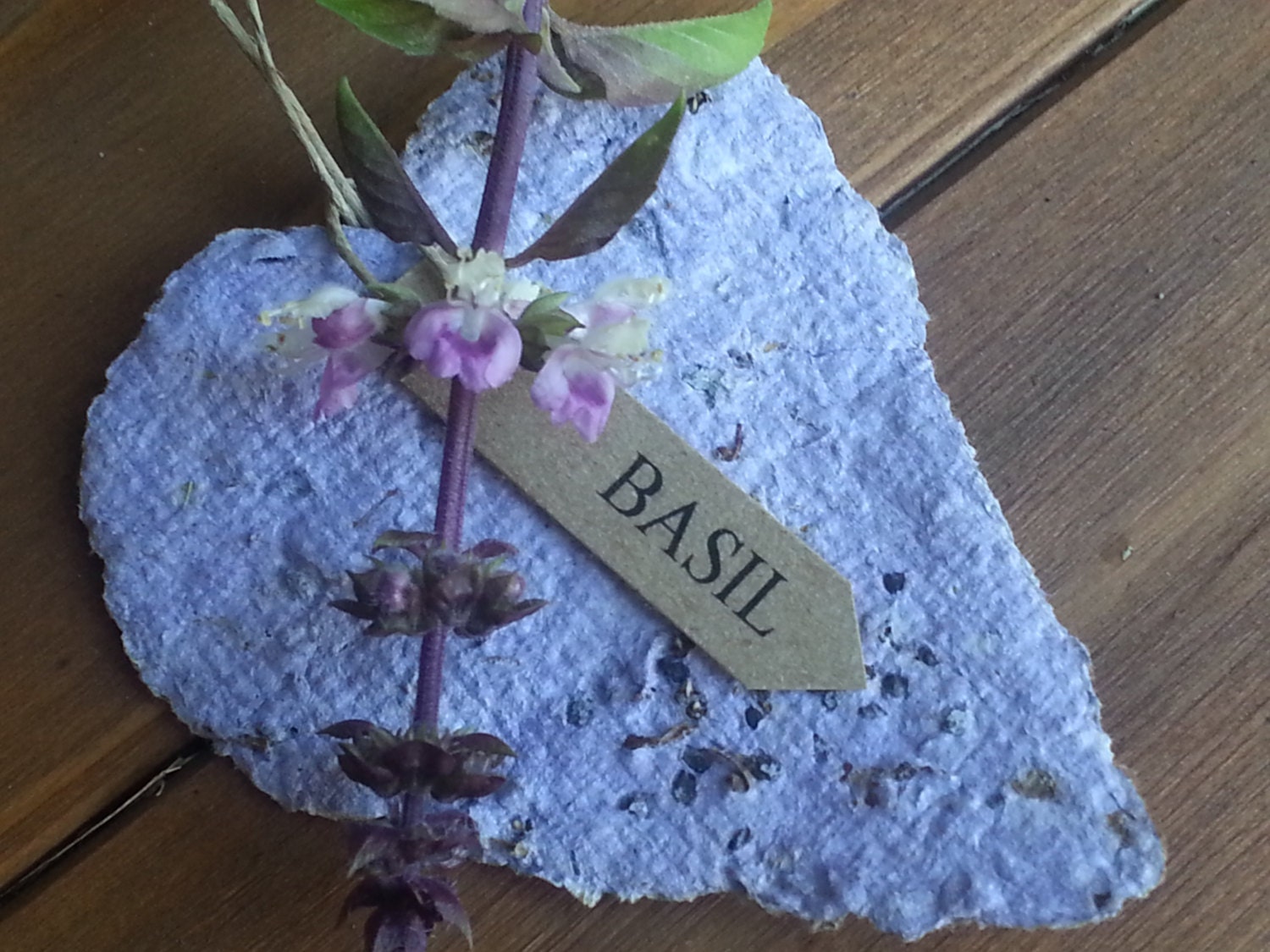 basil seeds plantable paper hearts herb seeds paper hearts custom recycled paper flower seeds