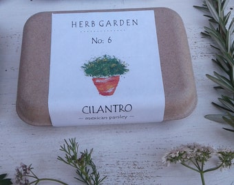 Cilantro seed herb kit for woman housewarming gift hostess gift herb seeds diy indoor herbs mexican herb coriander seed herbs and spices