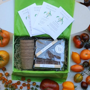 SALE Heirloom Tomatoes garden kit in a gift box with organic tomato seeds growing supplies, DIY tomato kit garden gift for tomato lovers image 2