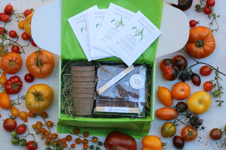 SALE Heirloom Tomatoes garden kit in a gift box with organic tomato seeds growing supplies, DIY tomato kit garden gift for tomato lovers image 2