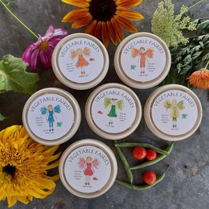 6 Vegetable Fairy garden party favors for kids birthday party, fairy party supplies, fairy garden flower seed