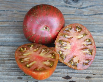 25 bi color Swirl Dwarf tomato seeds, Striped tomato seeds for growing in containers and pots, medium size tomato on a small tomato plant