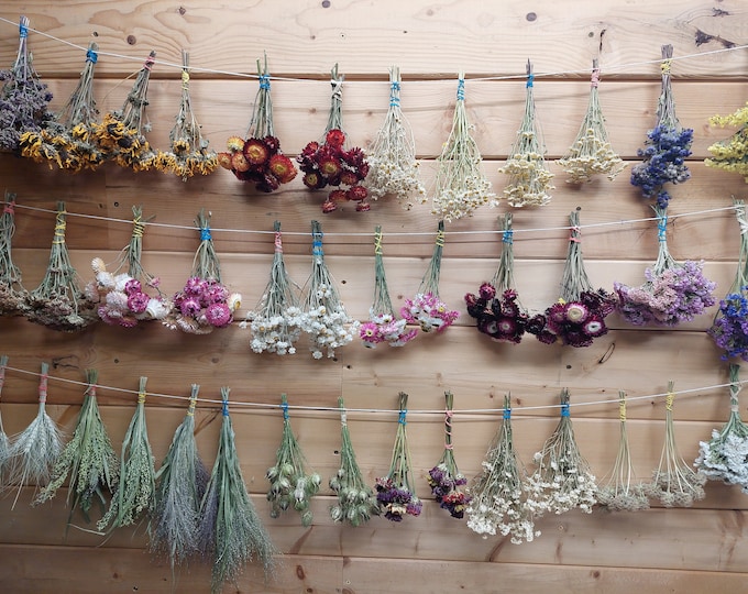 Dried mini bunches of dried flowers - build your own bouquet, petite dried flowers, autumn fall decor, small bunches dry flowers