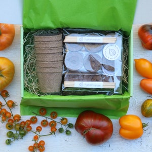 SALE Heirloom Tomatoes garden kit in a gift box with organic tomato seeds growing supplies, DIY tomato kit garden gift for tomato lovers image 4