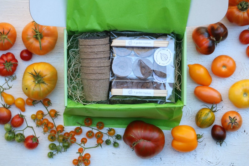 SALE Heirloom Tomatoes garden kit in a gift box with organic tomato seeds growing supplies, DIY tomato kit garden gift for tomato lovers image 4