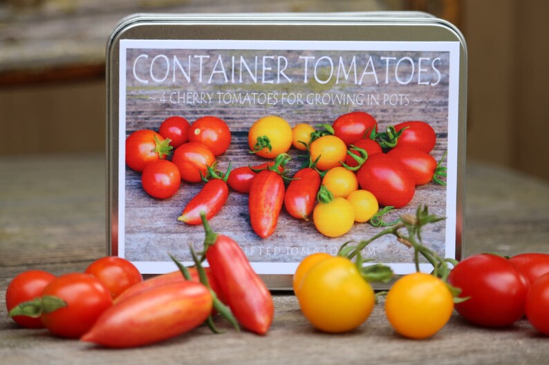 Heirloom Tomato seeds gift set Container gardening DIY Etsy