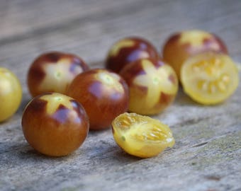 Purple Cherry tomato, Cream & Berries tomato seeds, organically grown tomato seed, vegetable seeds, kitchen garden, gardening