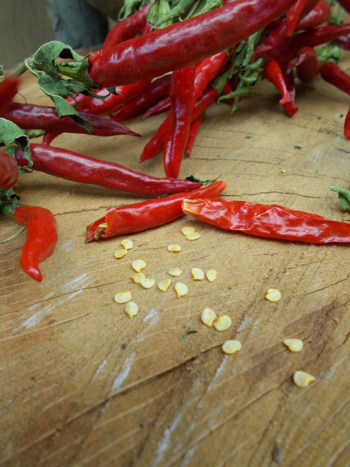 Red Hot Chili Pepper Rooster Spur chilli pepper chili pepper Etsy