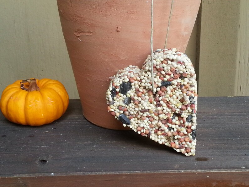 Birdseed Treats For Birds Birdseed Ornament Bird House Bird Etsy