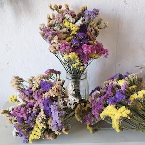May include: A collection of dried statice flowers in vibrant shades of purple, magenta, yellow, and cream. One bouquet is arranged upright in a clear glass mason jar, while two additional bouquets are laid horizontally on a flat surface.
