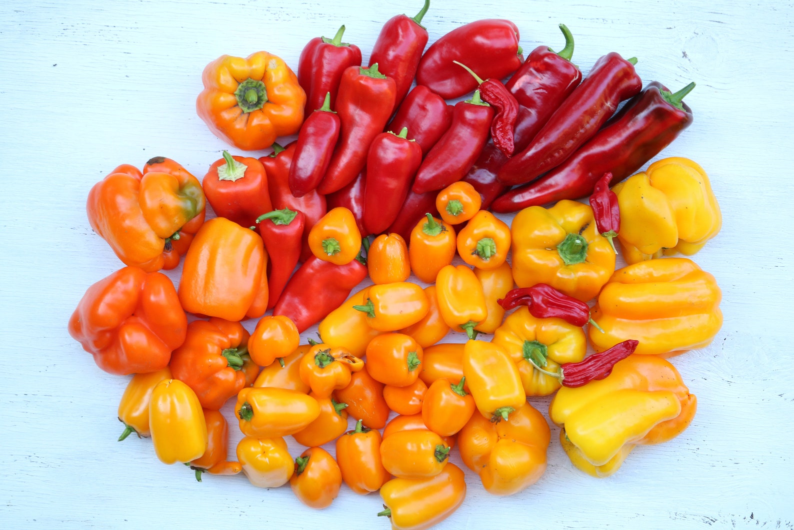 Container Garden Kit Edible Gardens for Urban Farmers 4 Etsy