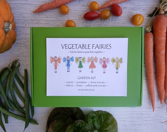 Fairy Garden kit with Vegetable seeds, diy kit for children, great gift for kids, fairy birthday party, kids seed kit, birthday gift