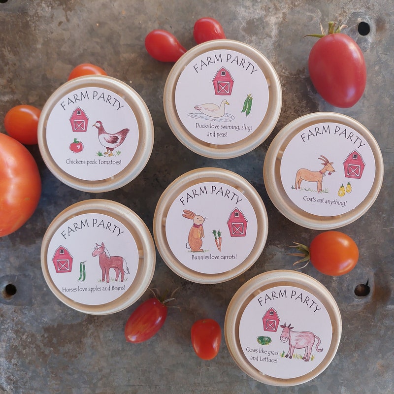 Farm Animal Party Favors - Etsy