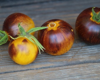 Bosque Blue Bumblebee Tomato Seeds, Striped Yellow and Purple Tomato, cherry tomato organic seed, heirloom seed, vegetable seeds