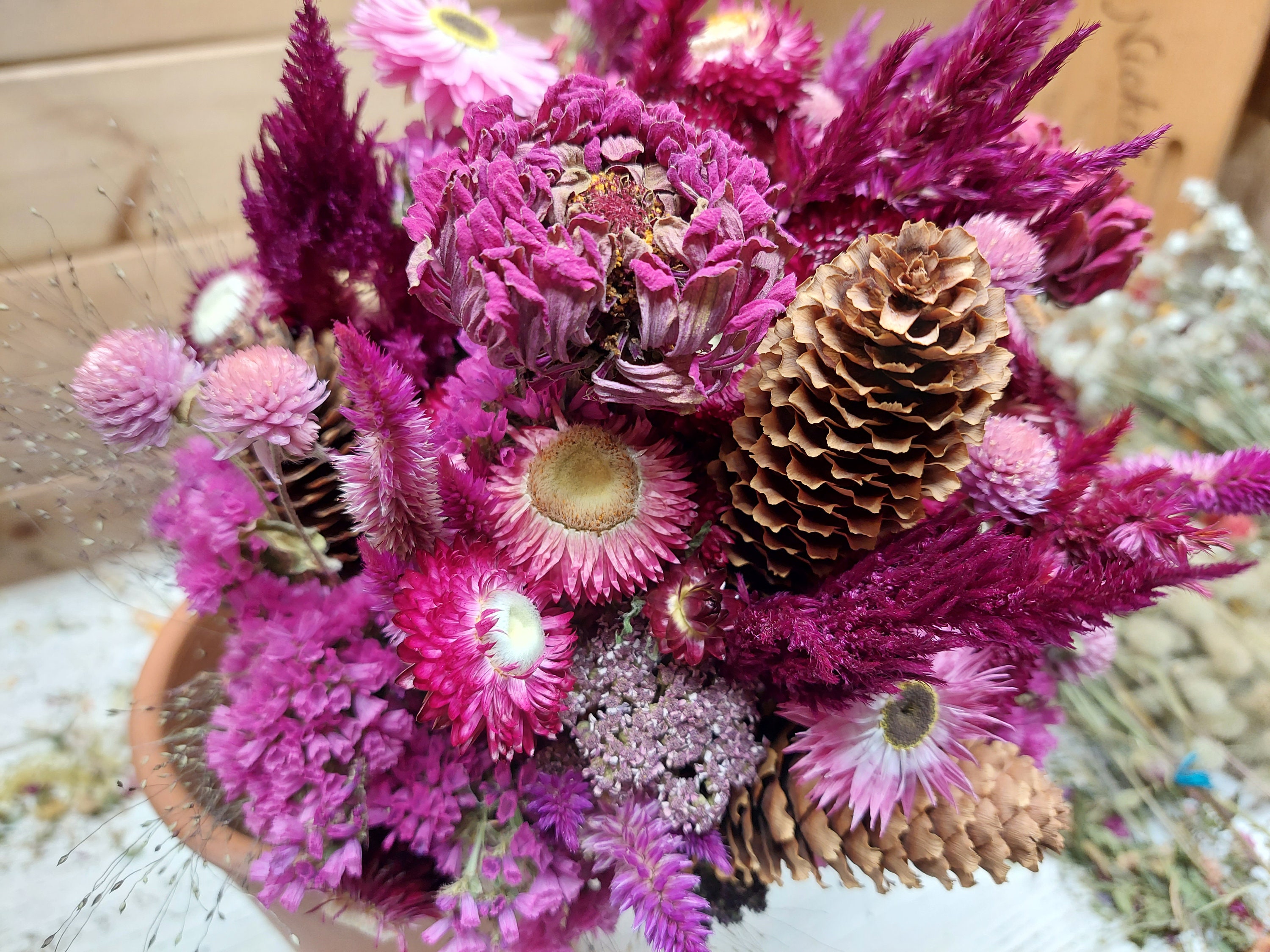 Pressed Celosia Flowers 12 Real Dried Pink Flower Spikes for