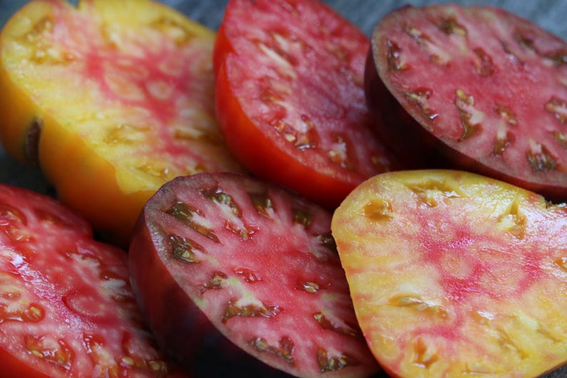 Variety pack of Heirloom Tomato seeds 10 packets of rare Etsy