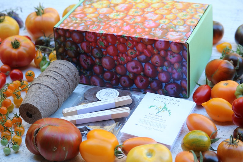 SALE Heirloom Tomatoes garden kit in a gift box with organic tomato seeds growing supplies, DIY tomato kit garden gift for tomato lovers image 7