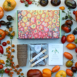 SALE Heirloom Tomatoes garden kit in a gift box with organic tomato seeds growing supplies, DIY tomato kit garden gift for tomato lovers image 1