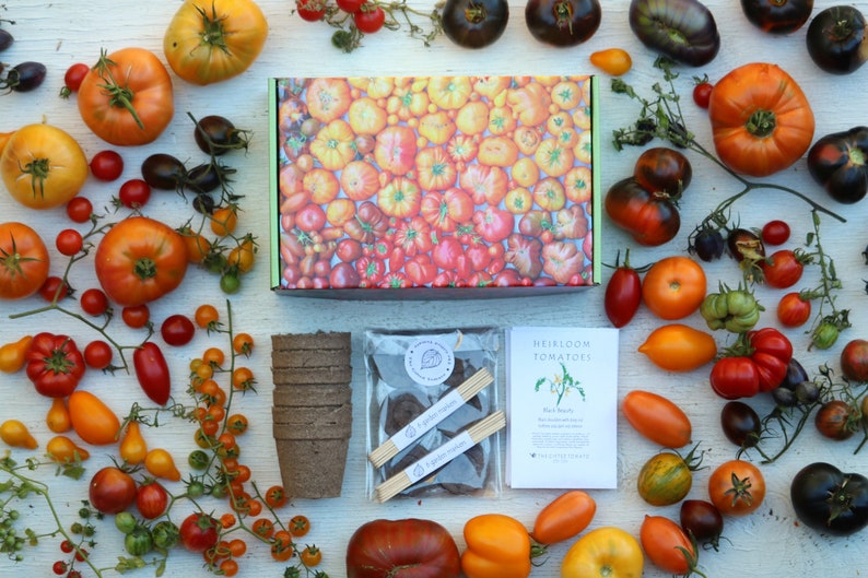 SALE Heirloom Tomatoes garden kit in a gift box with organic tomato seeds growing supplies, DIY tomato kit garden gift for tomato lovers image 1