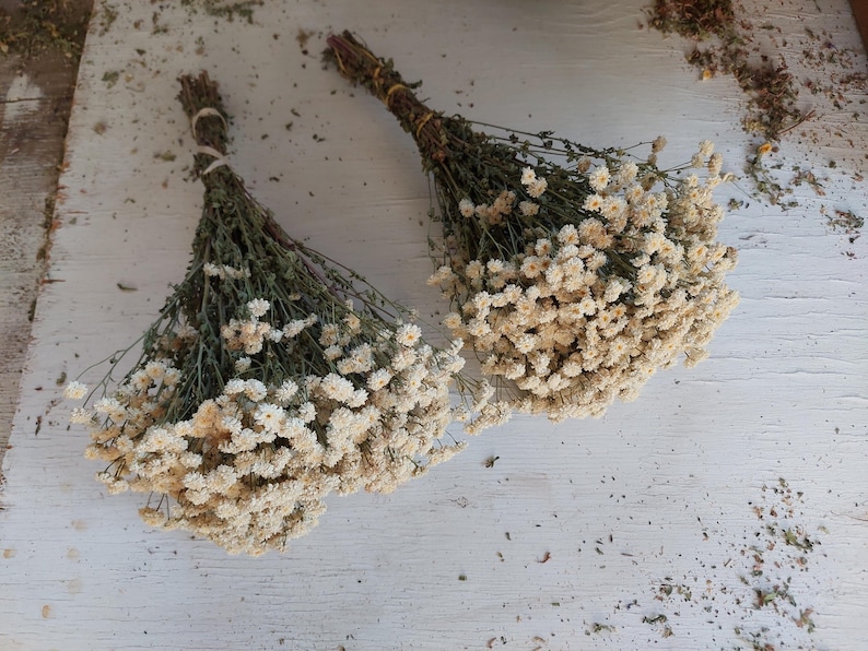 May include: Two bundles of dried, cream-colored flowers with green stems and tied with twine. The flowers are arranged on a white, weathered wooden surface, with scattered dried plant matter.