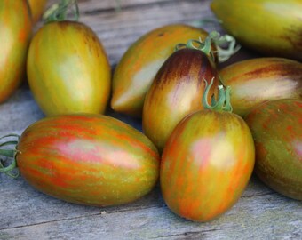 25 Atomic Grape tomato seed, bi-color tomato, cherry tomato seed, vegetable seeds, rare tomato seed, naturally grown seeds, garden seeds