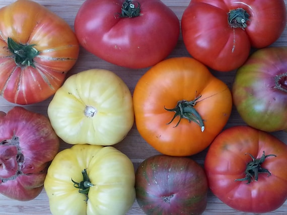 SEEDS of LIFE Heirloom tomato variety pack SURVIVAL SEEDS New varieties for 2020