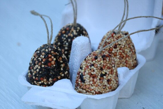 4 Birdseed Ornaments Birdseed Eggs For Bird Watching Etsy