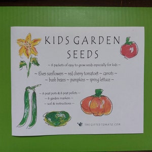 Gardening Kit for Kids, kids birthday gift, children's play, kids toys, garden tools outdoor play, kids seed kit, outdoor toys, kids diy kit 画像 9