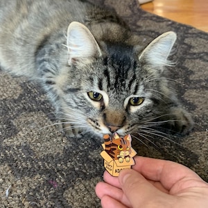 Brown Tabby Cat Enamel Pin