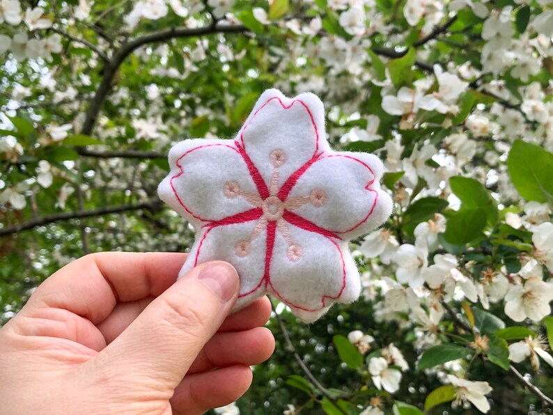 May include: A white felt cherry blossom flower with pink embroidery. The flower is held in a hand against a background of a blooming cherry blossom tree.