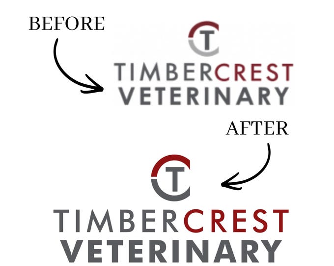 Custom Logo Redraw Service, Hand Drawn Brand Refresh, Professional Vector Artwork, Original Artist Design, No AI