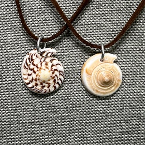 vintage dime store spiral  sea  shell pendant necklace on brown sued cord.
