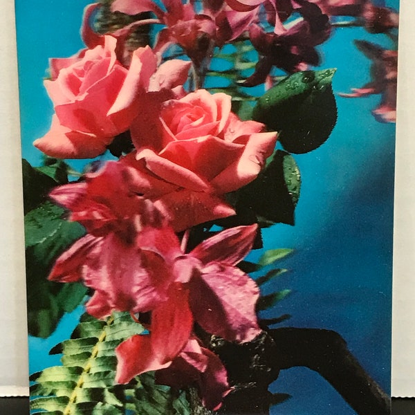 1960's lenticular 3d rose bush scene post card with nice vibrant colors Japan