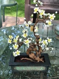 Vintage plum flower plastic bonsai with weighted flower pot base Japan