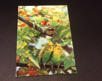 lenticular tropical birds in jungle 3d post card NOS Japan