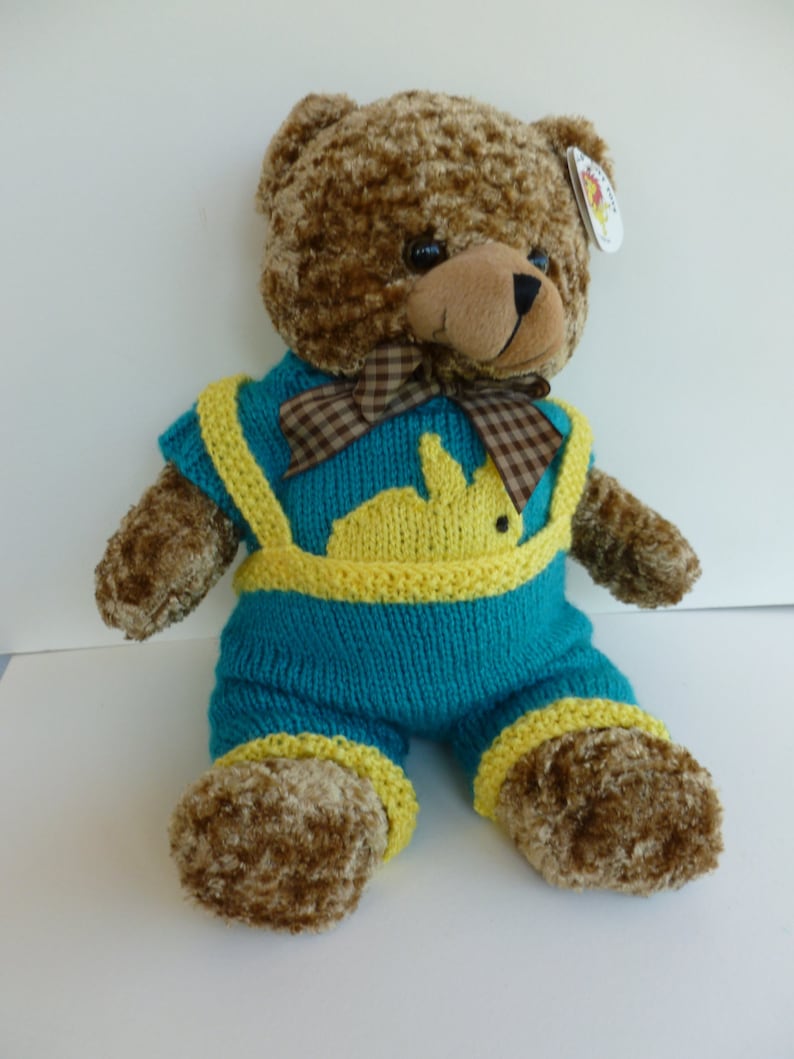 Teddy with bunny rabbit outfit