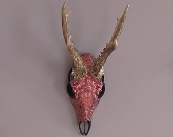 Hand decorated Roe deer skull with antlers